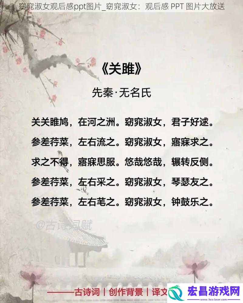 窈窕淑女观后感ppt图片