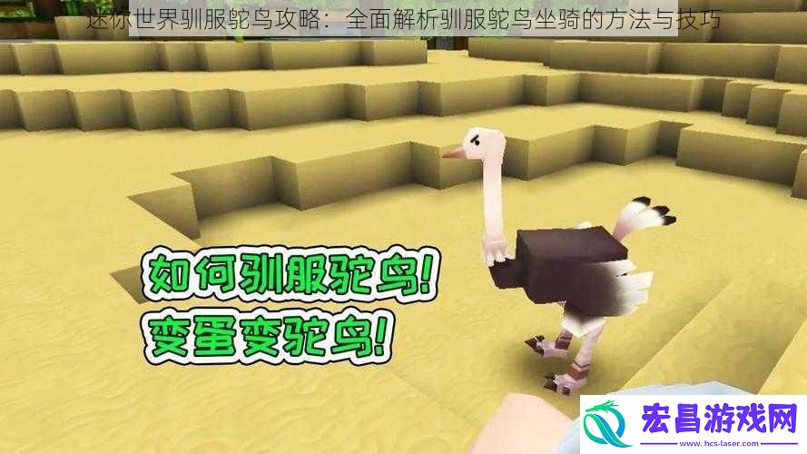 迷你世界驯服鸵鸟攻略