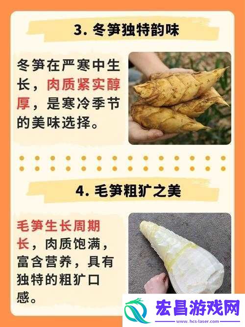 迷你世界竹笋获取攻略