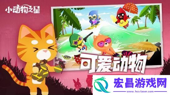 小动物之星下载