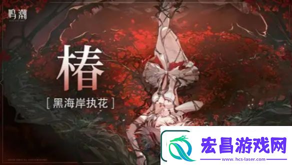 鸣潮洛可可怎么配队鸣潮洛可可最强配队阵容推荐