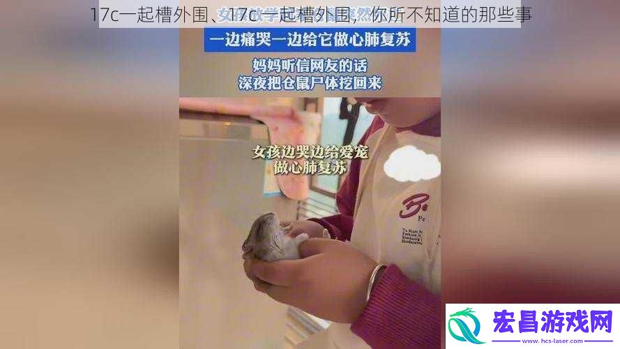 17c一起槽外围、17c