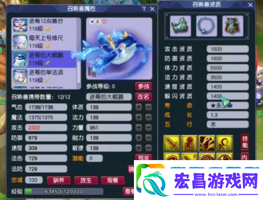 梦幻西游神威天宫神豪装备展示