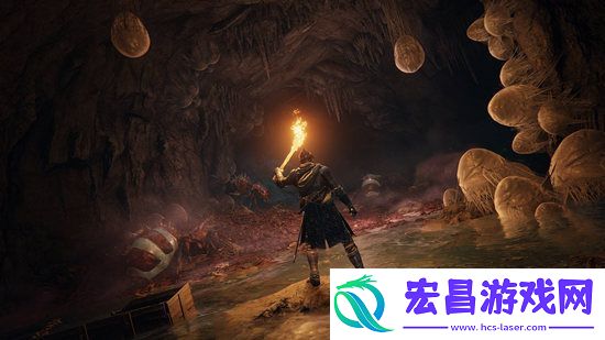 艾尔登法环地图打开攻略