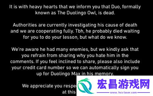 多邻国猫头鹰去世上热搜