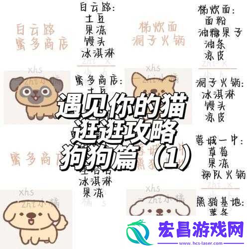 如何遇见并获取你的猫咪