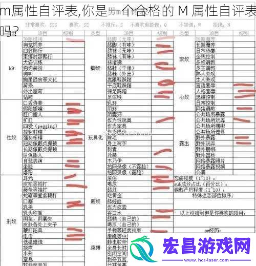 m属性自评表