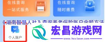 湖南智慧人社查询养老金余额方法