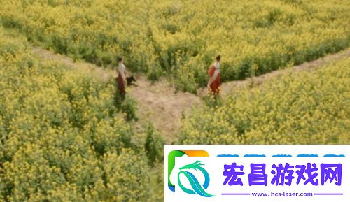 掌心采莲身死