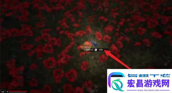 潜行者2怪异的花怎么获得