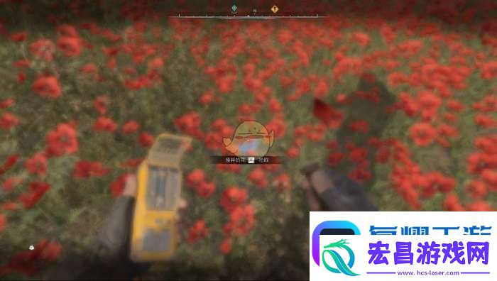 潜行者2怪异的花怎么获得