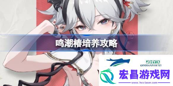 鸣潮椿声骸武器阵容推荐
