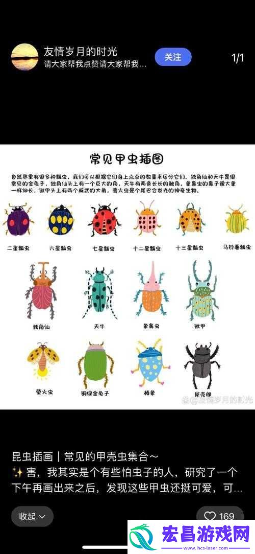 小森生活甲虫竞技谁主沉浮