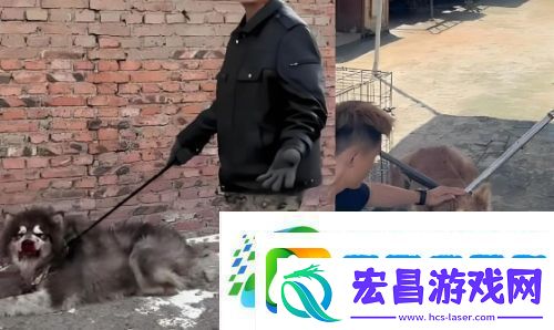 训狗一哥潘宏又出事