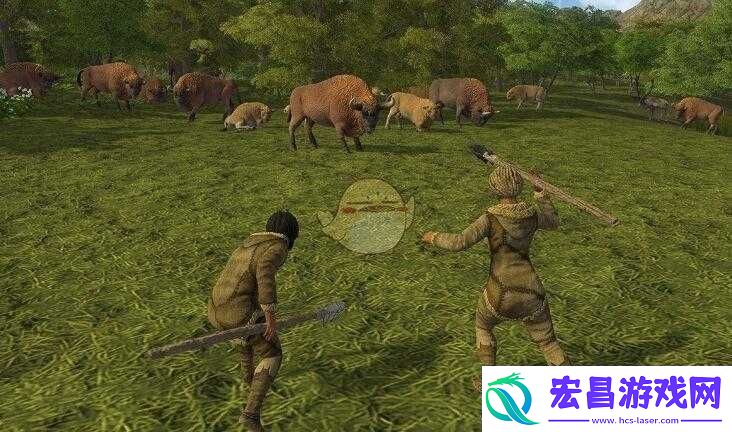 人类黎明游戏攻略深入揭秘哪种羊产出羊毛量最大打造羊毛产业首选