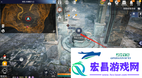 黑色沙漠手游女武神同伴怎么解