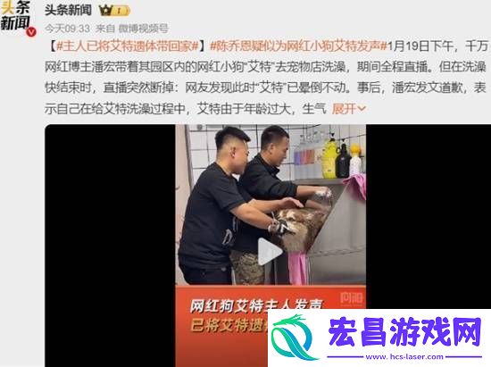 主人已将“艾特”遗体带回家