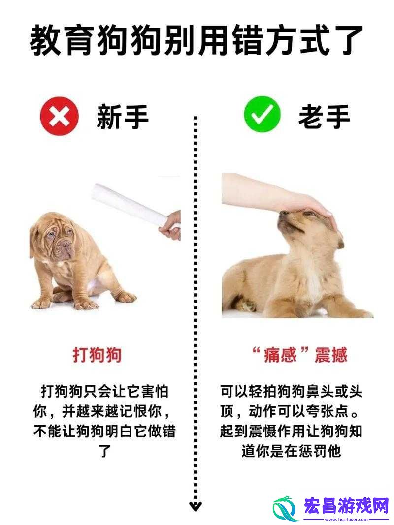 提问