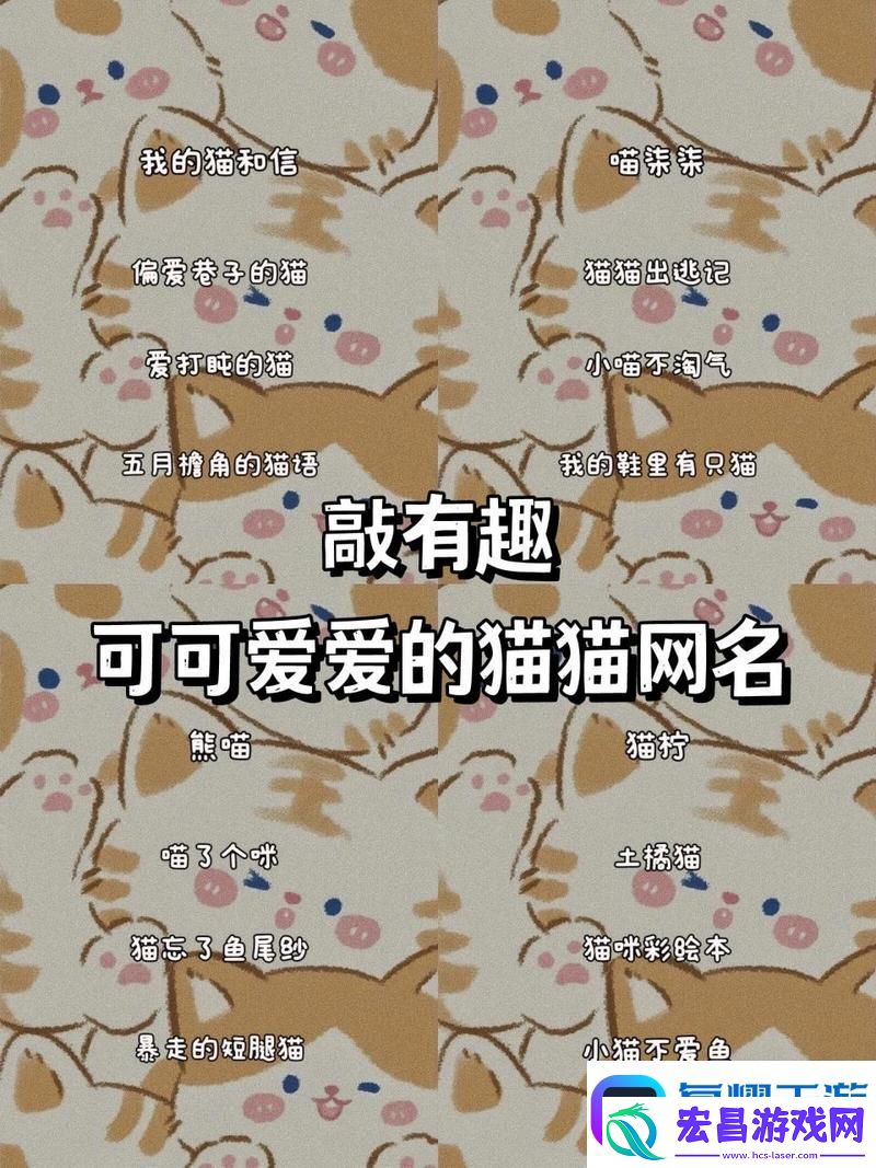 探索猫咪www最新地域网名的魅力与创意