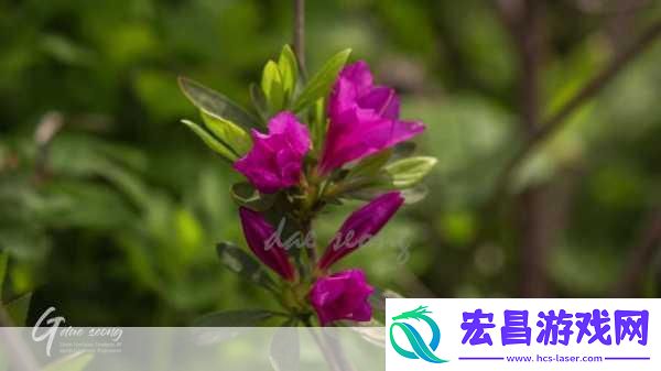 野花日本韩国视频免费高清观看宣布免费野花日本韩国视频免费高清观看畅享精彩内容