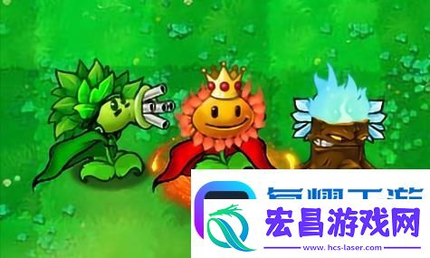 双影奇境2024年最新消息