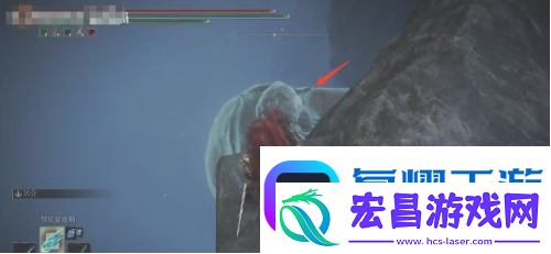艾尔登法环魔法菈妮的暗月获得位置