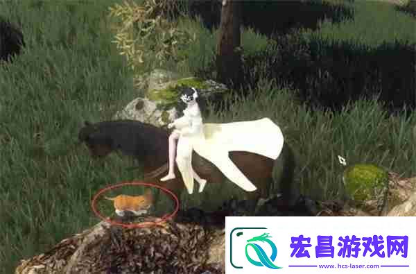 逆水寒捉猫记奇遇怎么做