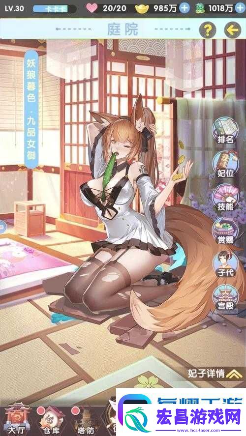 福利篇里隐藏了哪些不为人知的惊喜