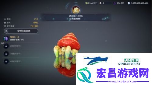黑色沙漠手游背石蟹怎么做