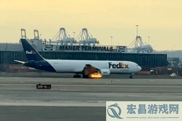 美国一波音767飞机撞鸟