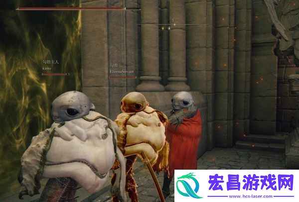 宠物技能搭配与战斗节奏