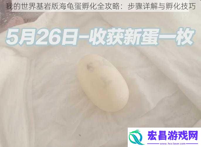 我的世界基岩版海龟蛋孵化全攻略