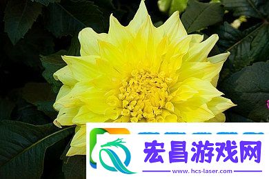 一本久道久久综合狠狠爱一密臀精
