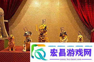 3.0.3免费oppo版大全在线观看