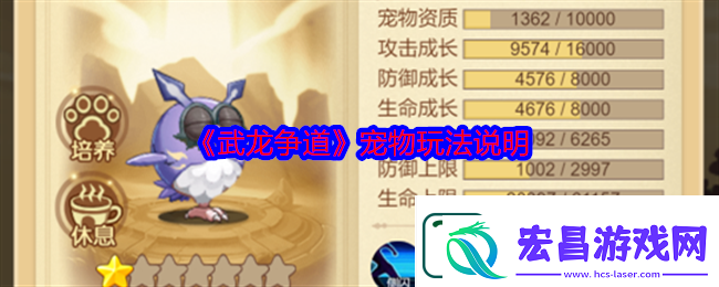 武龙争道宠物玩法说明