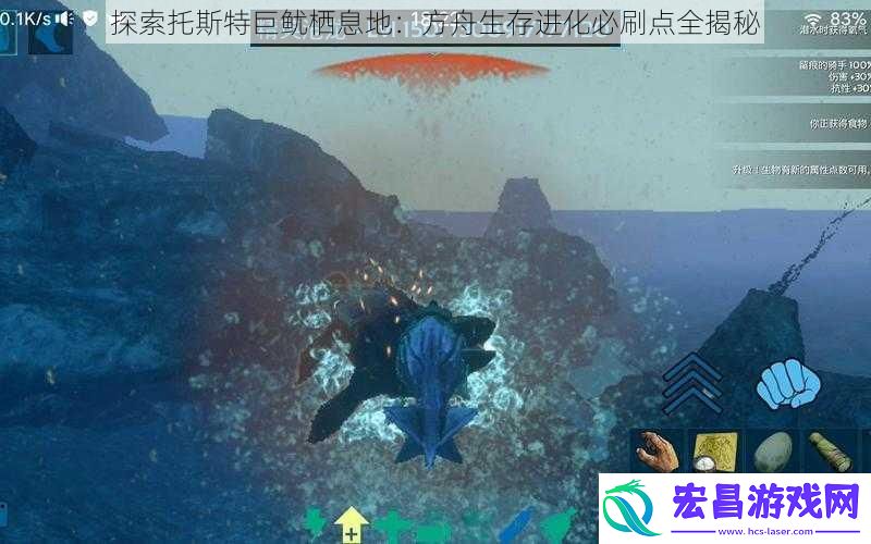 探索托斯特巨鱿栖息地