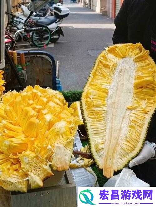 怎么开菠萝蜜视频教程