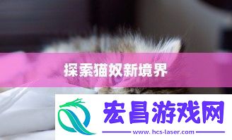 探索猫奴的新境界猫德输出手法循环图
