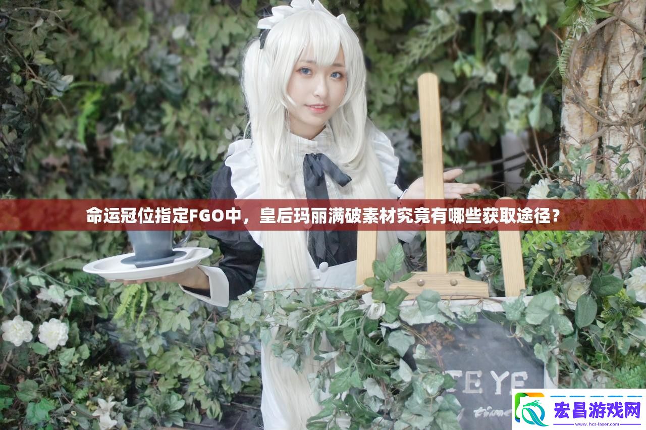 命运冠位指定FGO中