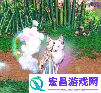 DNF战令龙袍选择指南及推荐