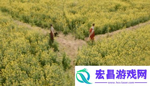 掌心采莲身死霓裳退出叶平安被埋复仇小分队遭散伙危机