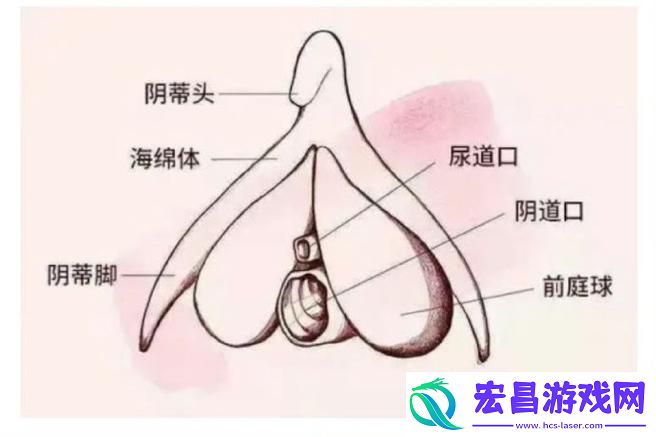 粉丝表示