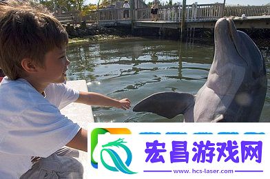 你弄得人家里都是水好大｜防水奇兵