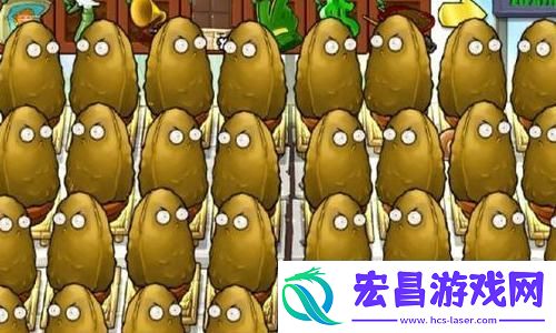 怪物猎人护锁刃龙与锁刃龙详细攻略图解