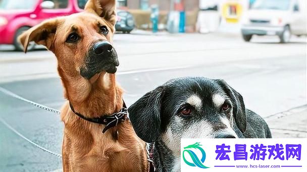 重温经典