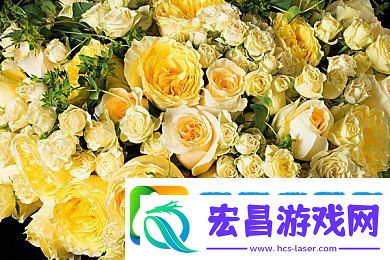 春暖花开杏se×8有论坛｜科技创新赋能产业未来