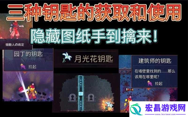 重生细胞园丁钥匙遗失何处