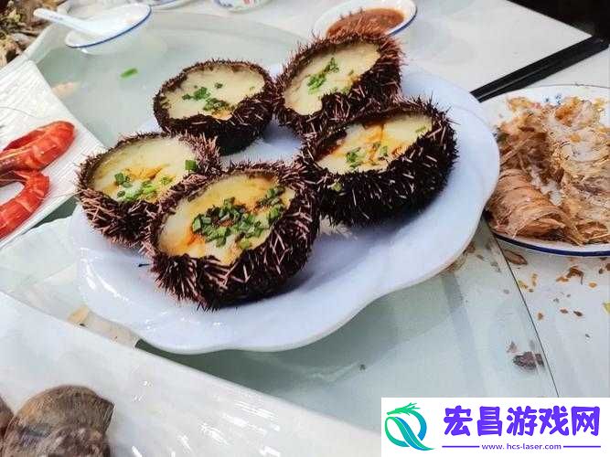它的奇妙世界究竟隐藏着哪些不为人知的秘密