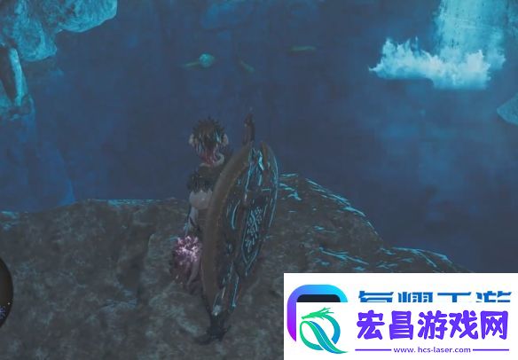 怪物猎人荒野探寻神秘的光辉怎么做