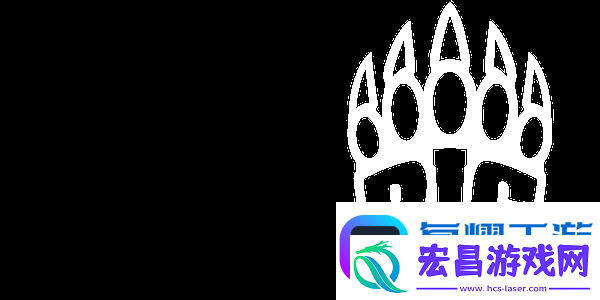 Swani访谈